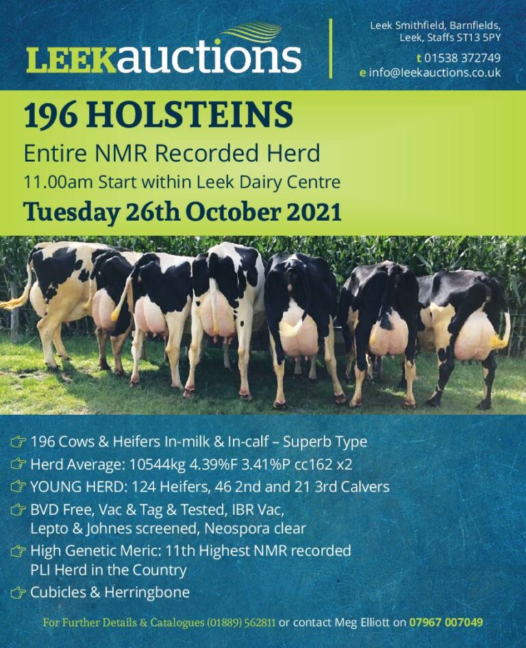 Market Report 12th October Leek Auctions