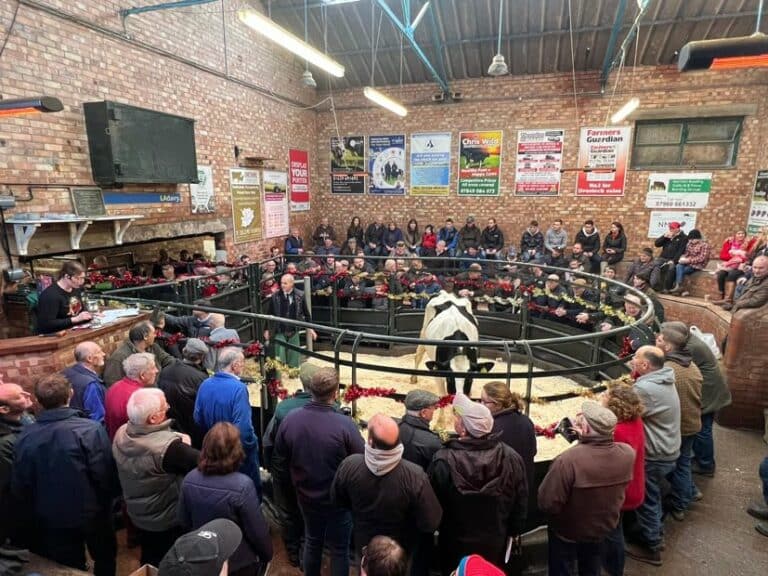 Market Report Tuesday 20th December Leek Auctions