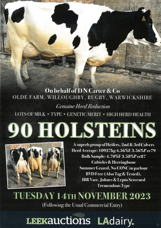 90 Holsteins Leek Auctions