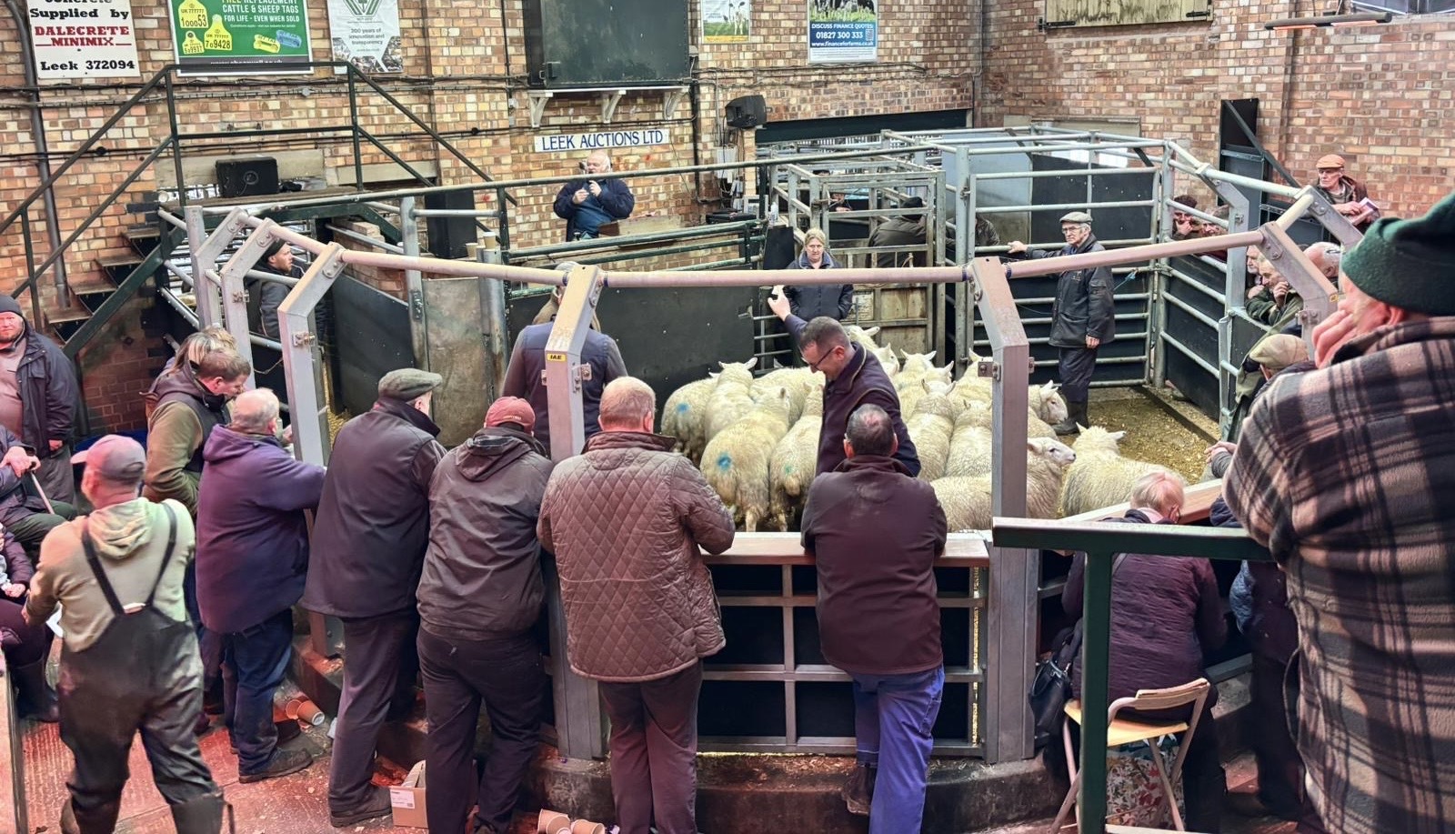 Formed Sheep Store & Breeding Sheep Sale Report 13th December - Leek Auctions